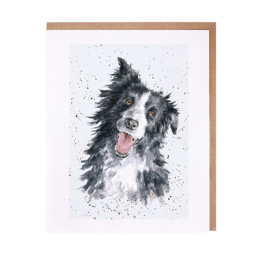 Border collie greeting card