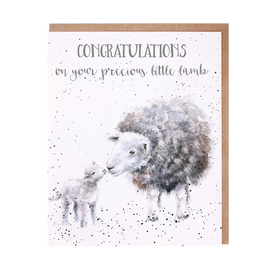 Sheep and lamb new baby card