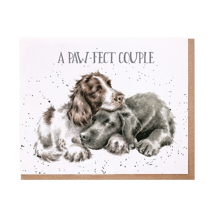 Springer spaniel and Labrador asleep perfect couple card