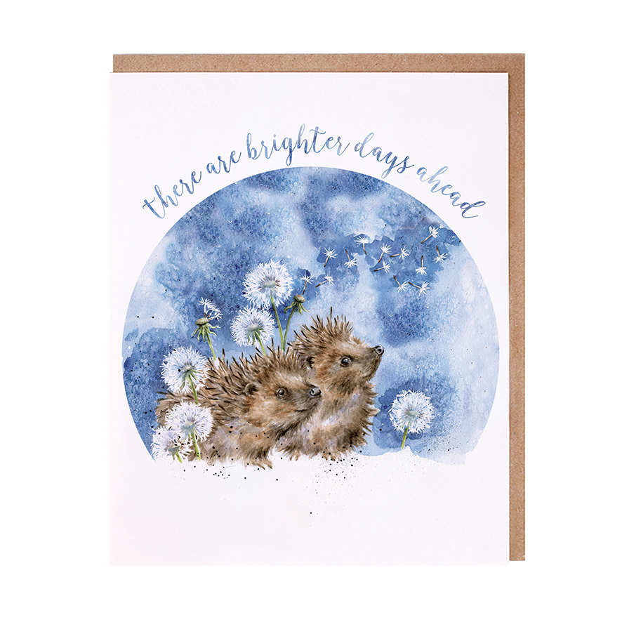 Hedgehog and dandelions brighter days ahead card