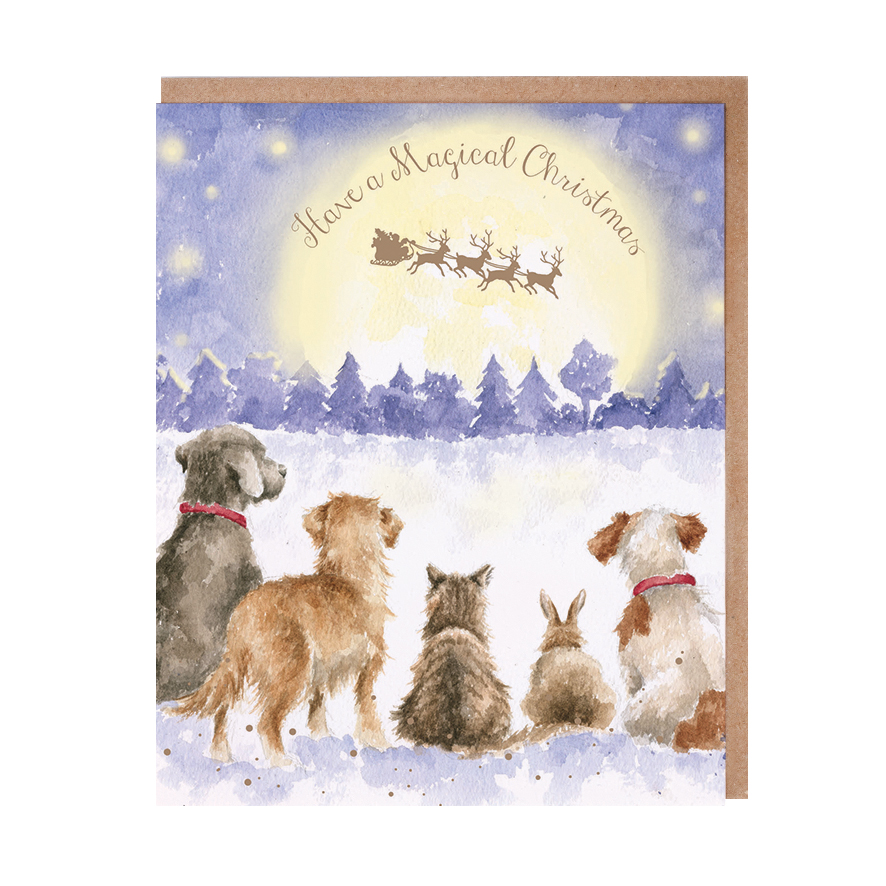 Dogs, cat and rabbit looking up at the night sky Christmas card
