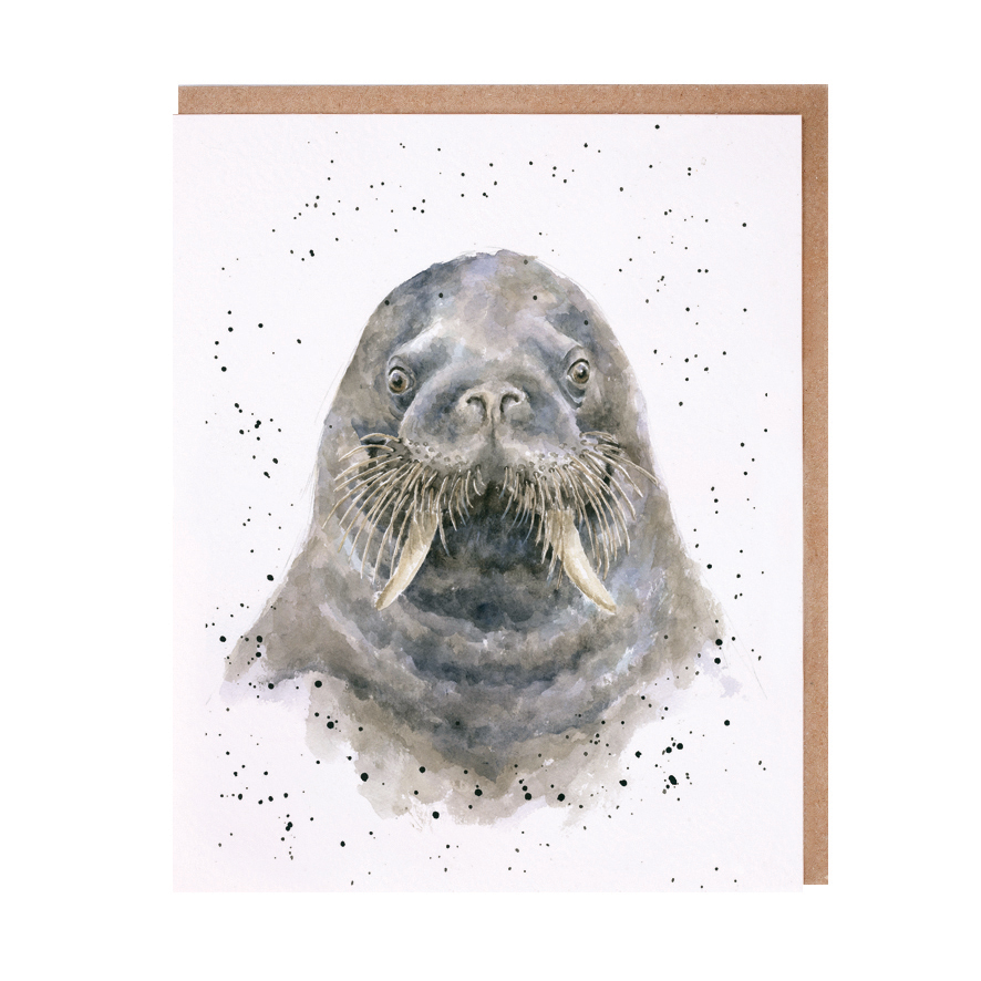 Walrus greeting card