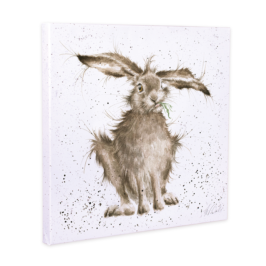 'Hare Brained' Hare canvas
