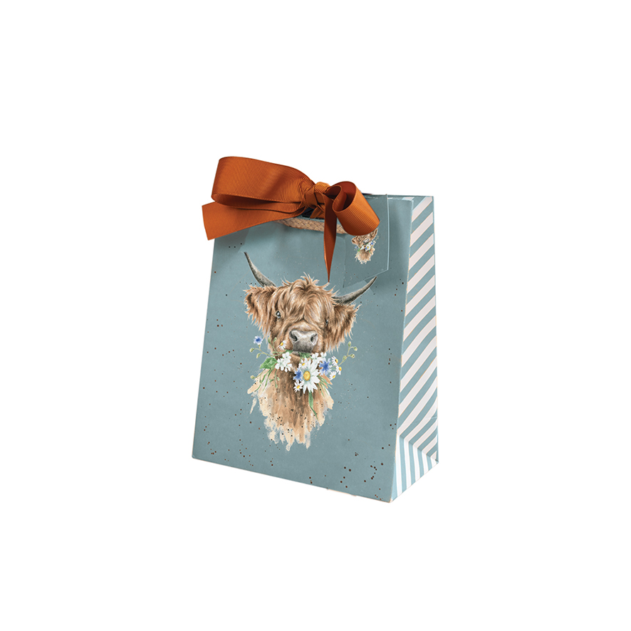 Daisy Coo Small Gift Bag