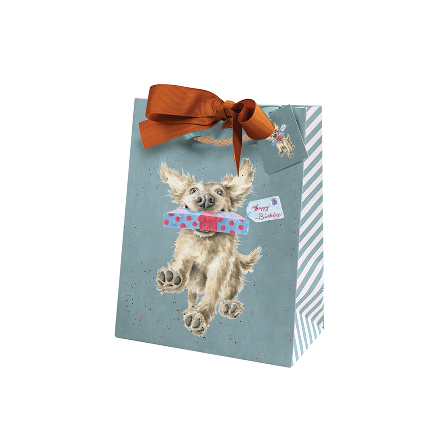 Special Delivery Medium Gift Bag