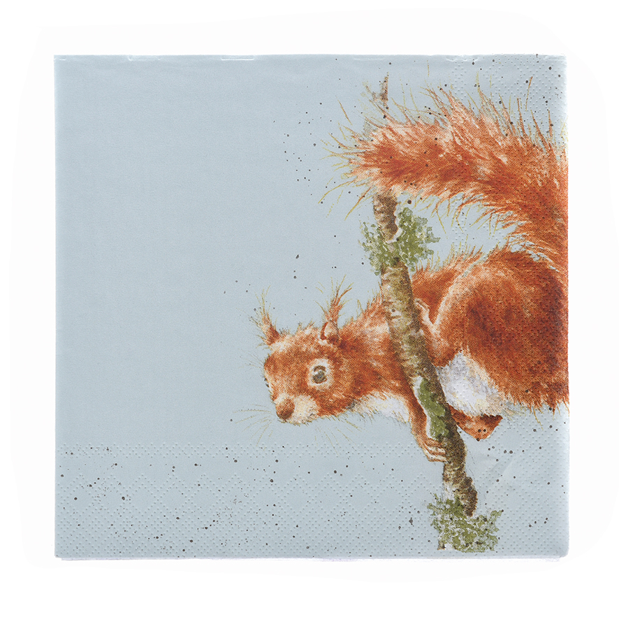 Squirrel lunch napkin
