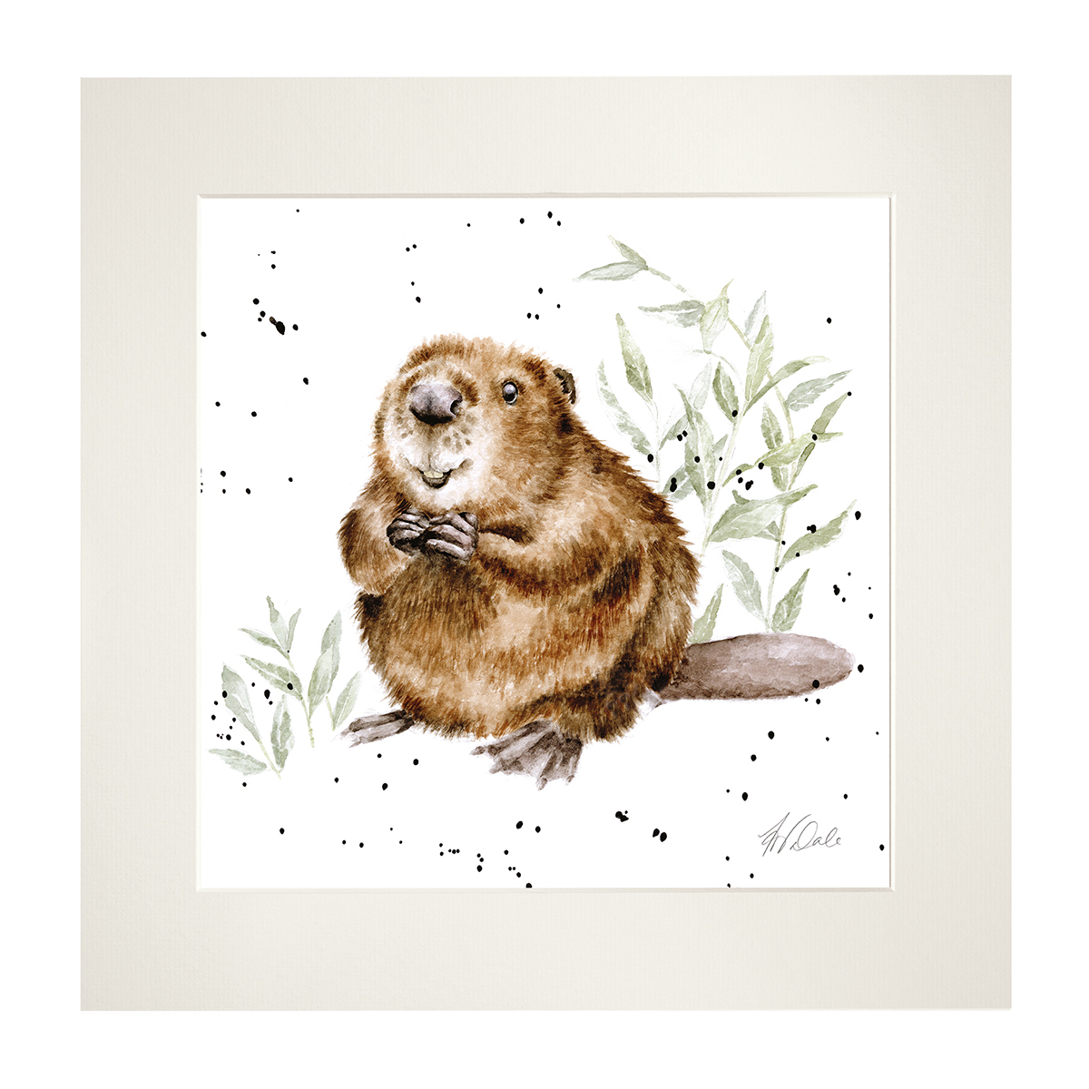 'The Arborist' illustrated beaver framed print