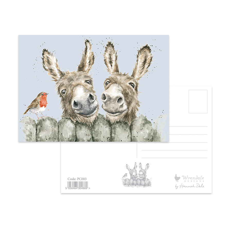 Donkey postcard