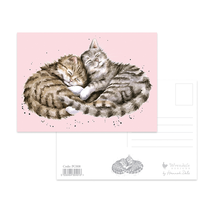 Cat postcard