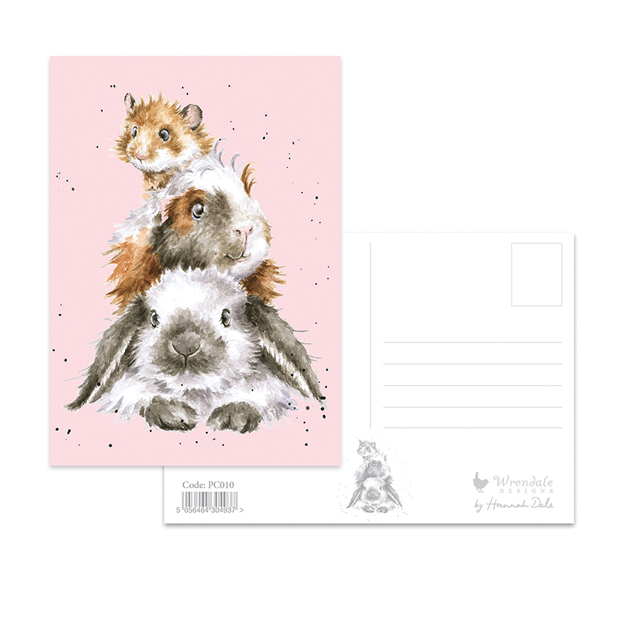 Guinea pig, rabbit and hamster postcard