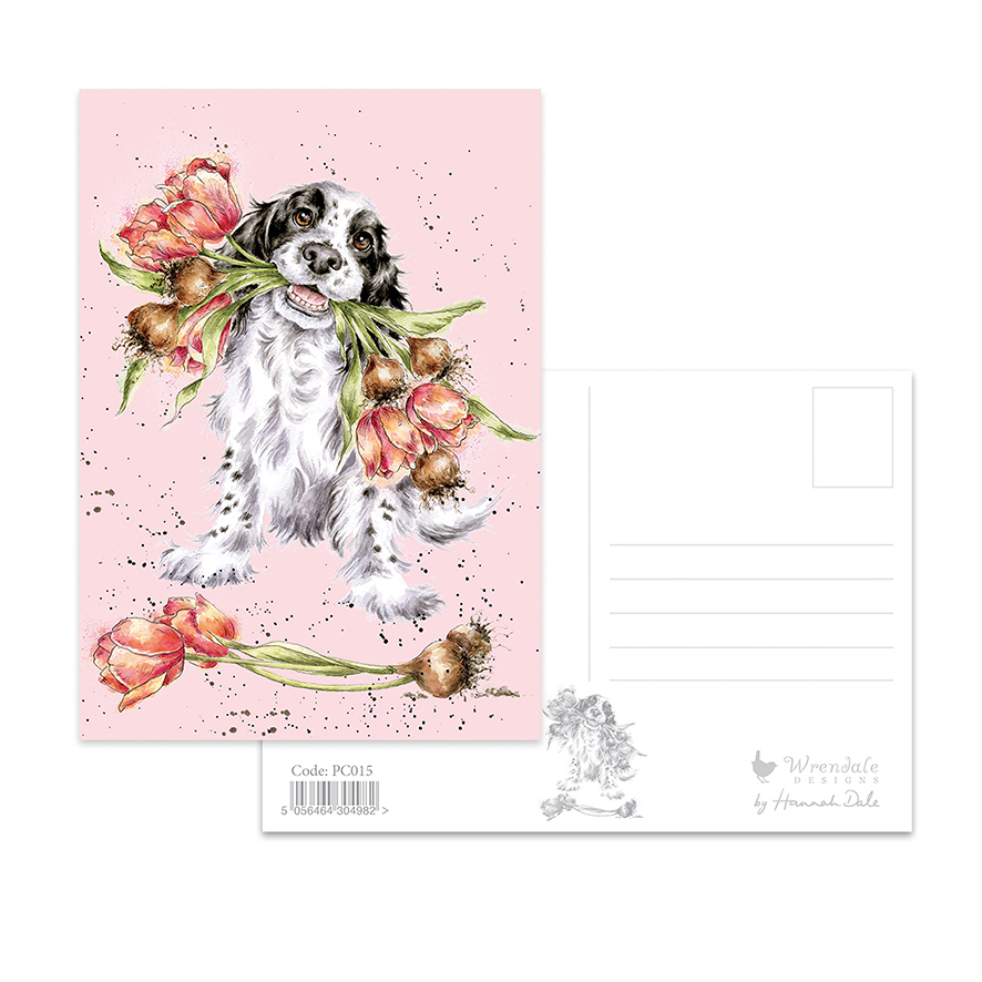 Spaniel and tulips postcard