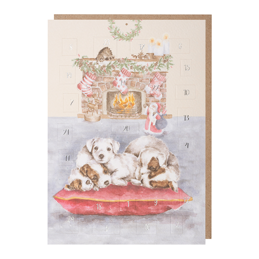 Dog advent calendar