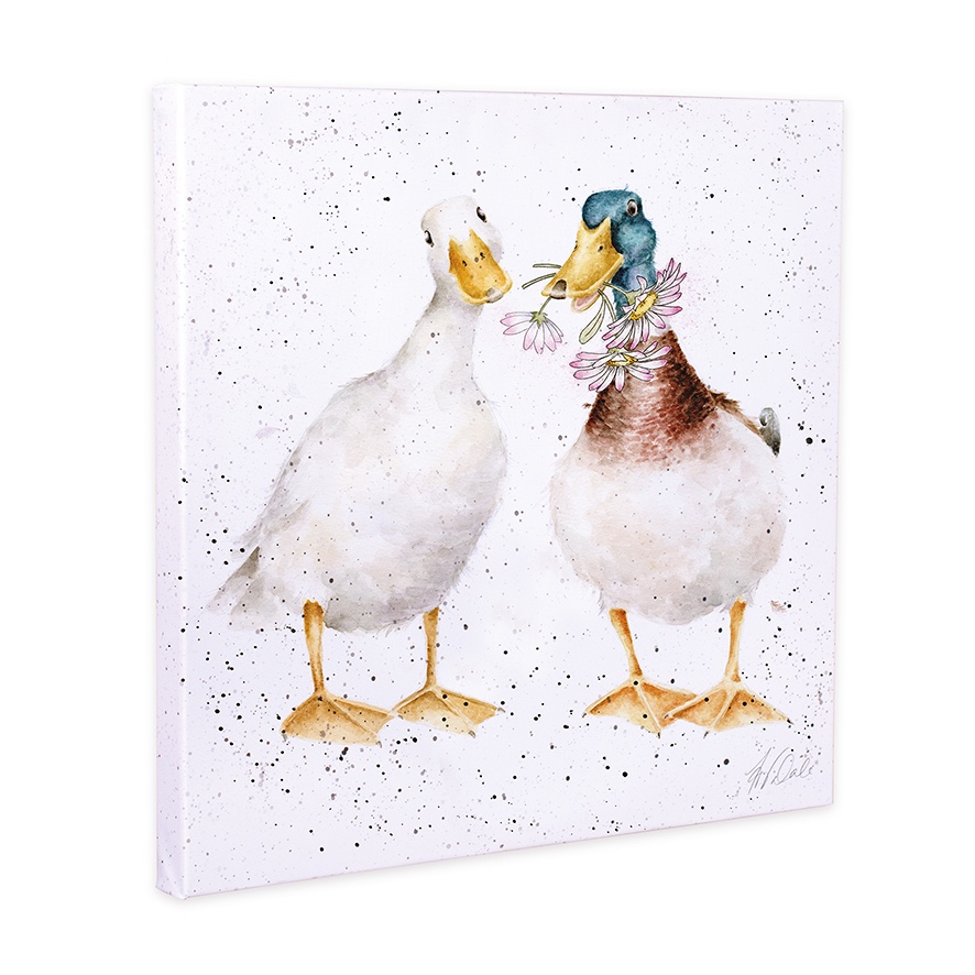 'Not a Daisy Goes By' Duck Canvas