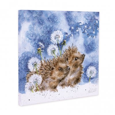 Brighter Days hedgehog canvas print