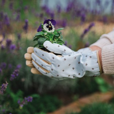 One Size Fits All 100% Cotton Drill Wrendale Design Gardening Gloves 