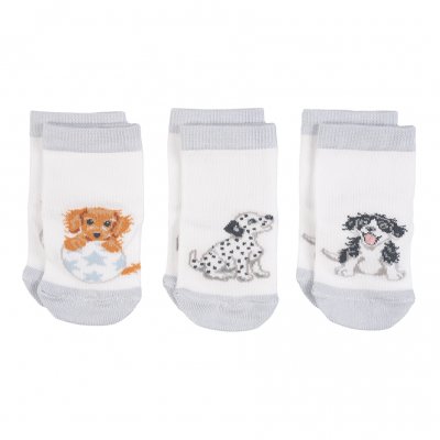 Dog Baby Socks gift set