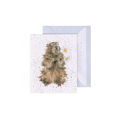 Marmot mini card
