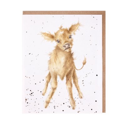 Jersey cow greeting card