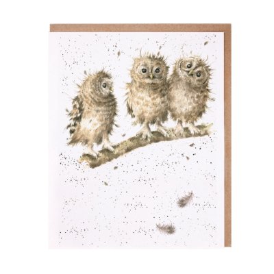 Three tawny owls on a branch greeting card