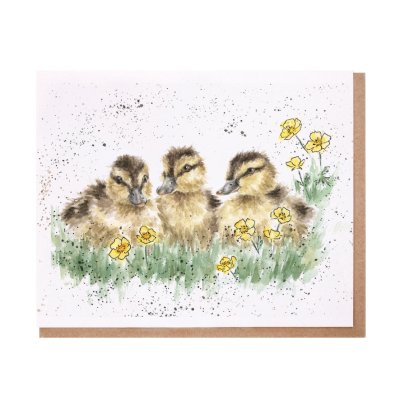 Ducklings amongst buttercups greeting card