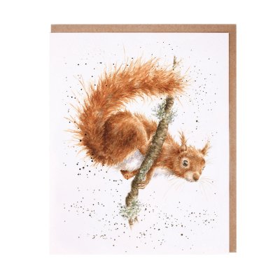 Red squirrel on a branch greeting card