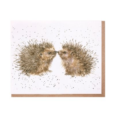 Hedgehogs touching noses greeting card