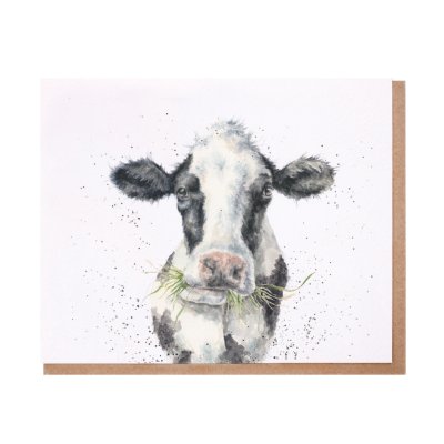 Black and white cow with grass in its mouth greeting card
