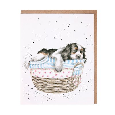 King Charles Spaniel on a pile of laundry greeting card