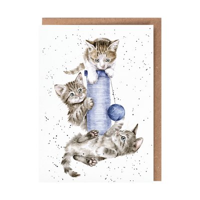 Kittens on a scratching post greeting card