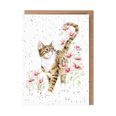 Harmony' Cat Card
