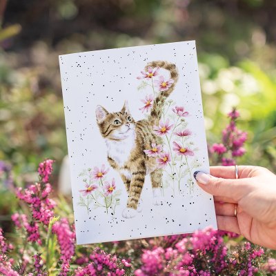 Harmony' Cat Card