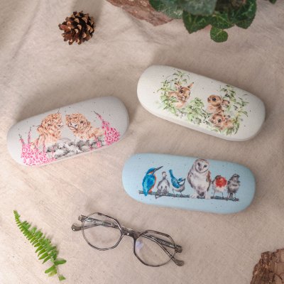 'Just For Moo' Cow Eye Glass Case