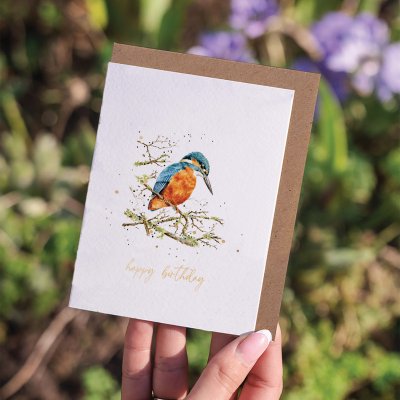 'Pond Dipping' Kingfisher Birthday Little Sentiment Card