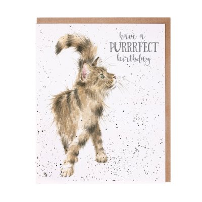 Fluffy tabby cat birthday card