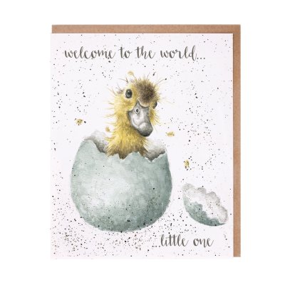 Duckling in egg new baby card