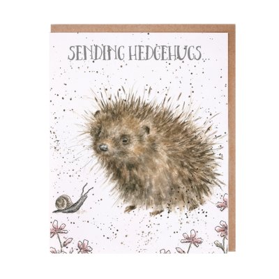 Hedgehog and snail get well card
