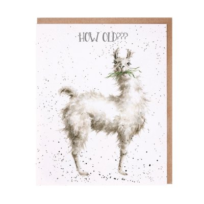 Llama birthday card