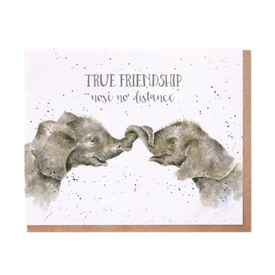 Elephants with their noses together friendship card