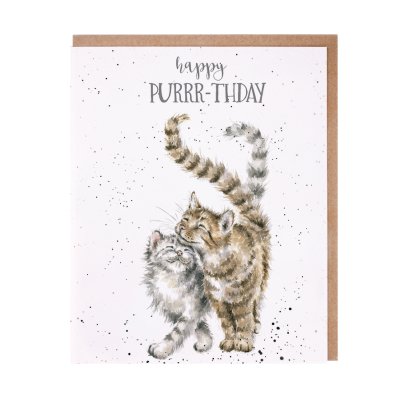 Cat birthday card