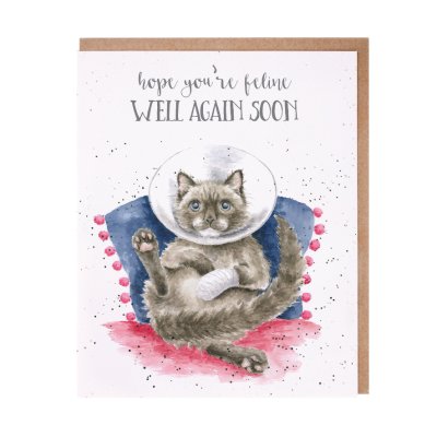 Cat in a cone with a bandaged paw get well soon card