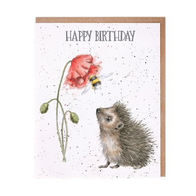 Hedgehog looking at a poppy and bee birthday card