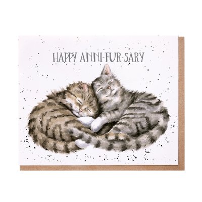 Two cuddling cats anniversary card