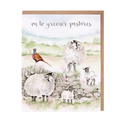 Pheasant and sheep standing on a stone wall new adventure card
