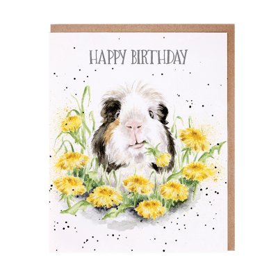 Guinea pig amongst dandelions birthday card