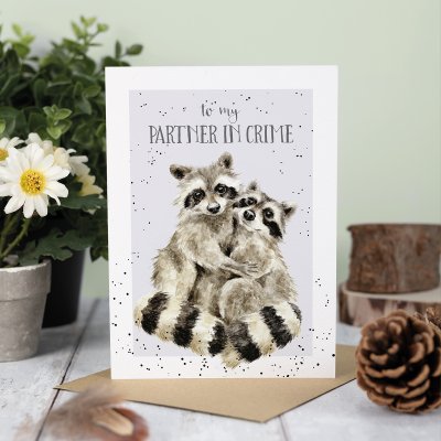 'Partners in Crime' Racoon Anniversary Card