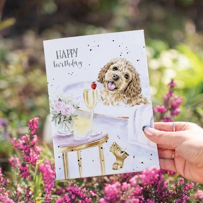 'Pampered Pup' Dog Birthday Card