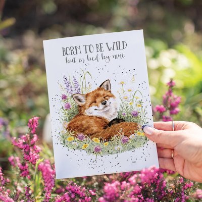 'Serenity' Fox Birthday Card