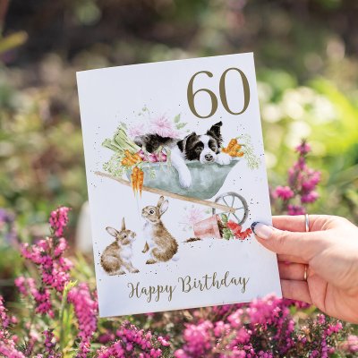 'Sleeping On The Job' Collie 60th Birthday Card