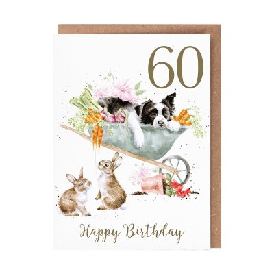 'Sleeping On The Job' Collie 60th Birthday Card