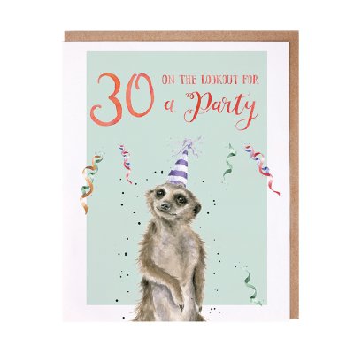 Meerkat in a party hat 30th birthday card